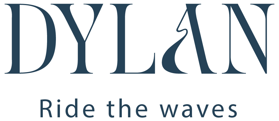  Dylan - Ride the wave.